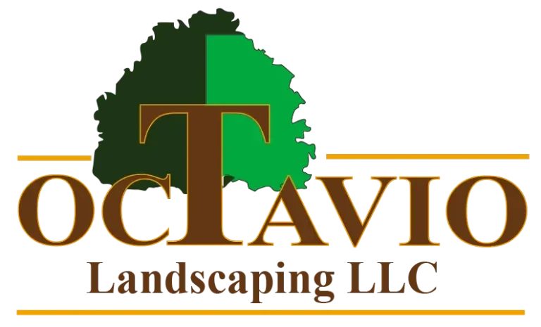 Octavio Landscaping, Patios and more